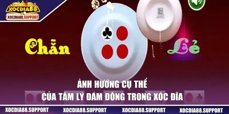 Ảnh hưởng của tâm lý số đông trong xóc đĩa